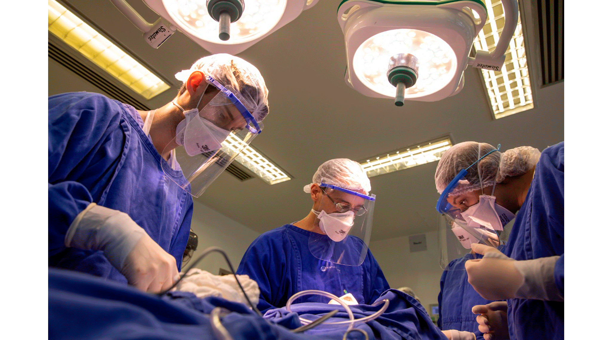 Saiba mais sobre a Síndrome de DiGeorge