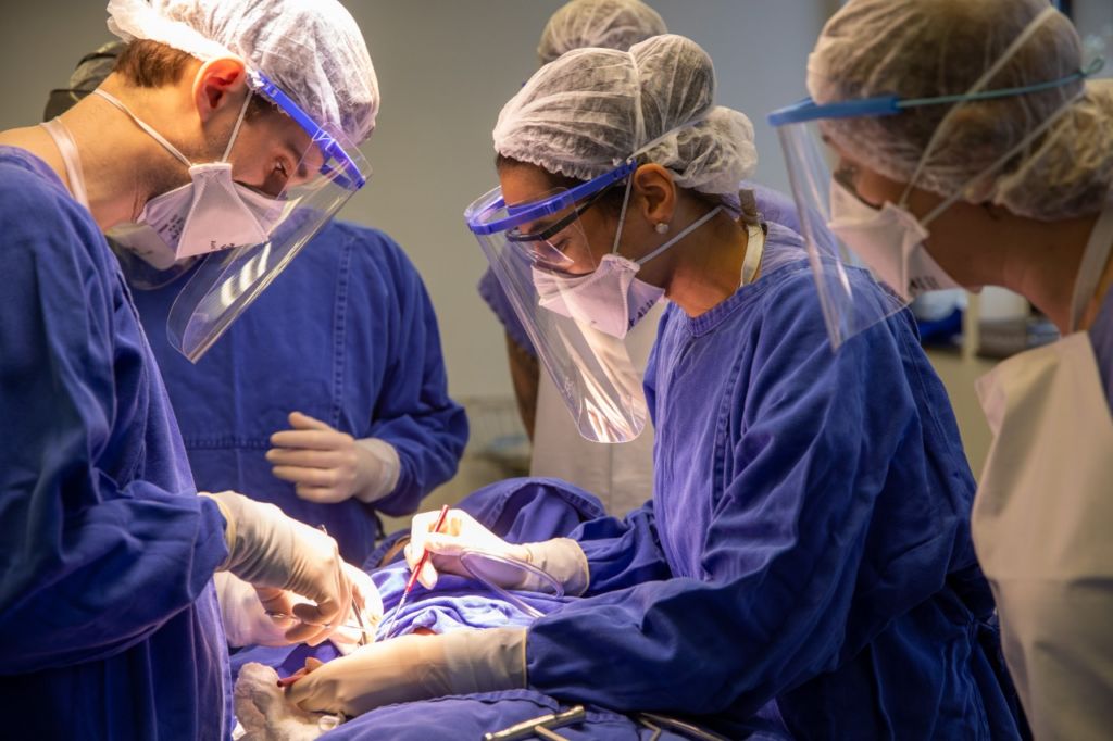 Cirurgia de Cranioestenose: materiais absorvíveis podem ser utilizados