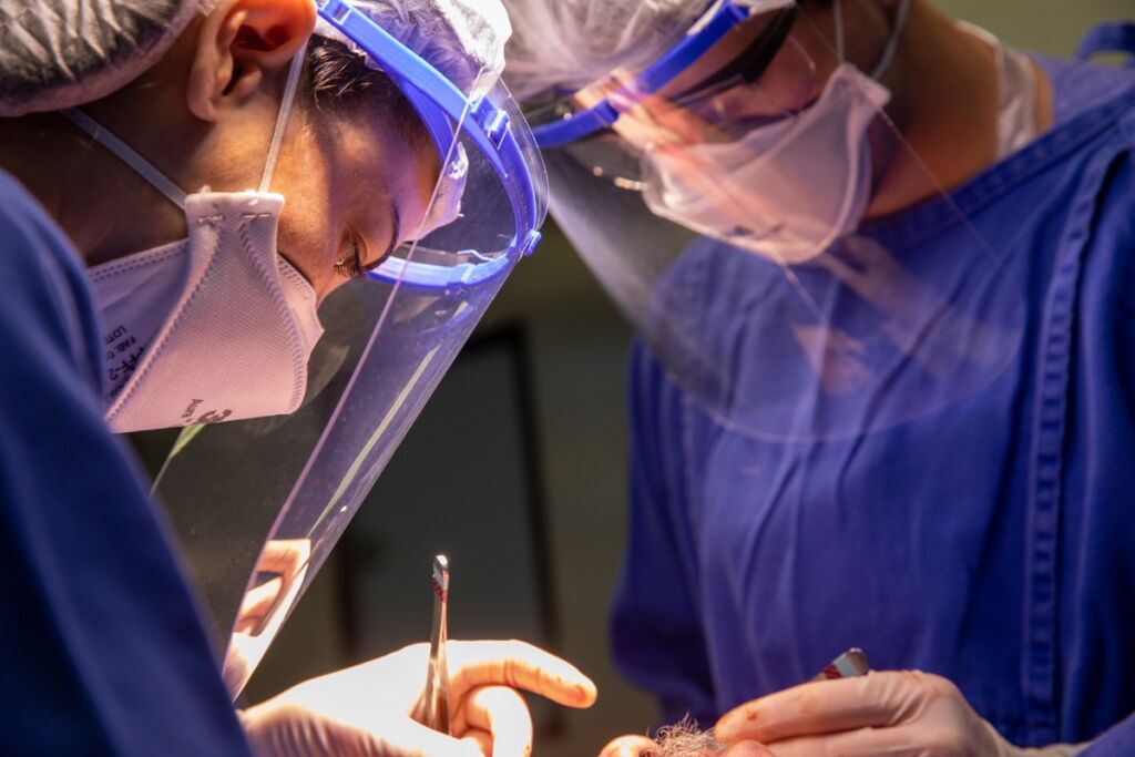 Alertas para cirurgias pediátricas realizadas no verão